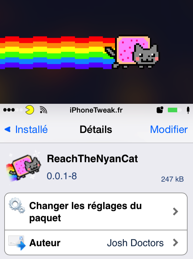 reachthenyancat reachthenyancat