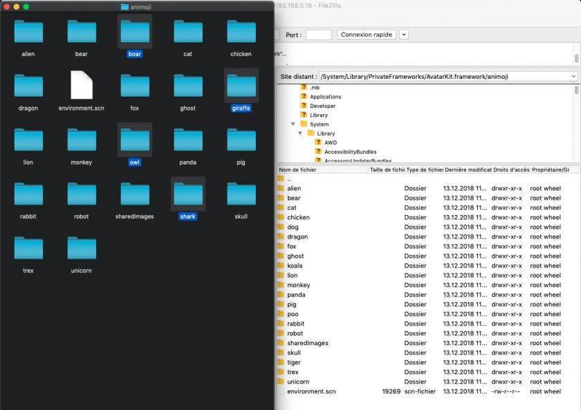 drag and drop animoji drag and drop animoji