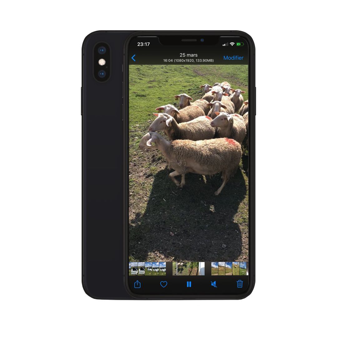 photoinfo tweak ios photoinfo tweak ios