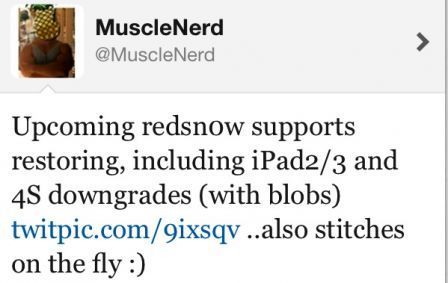 MuscleNerd Twitter