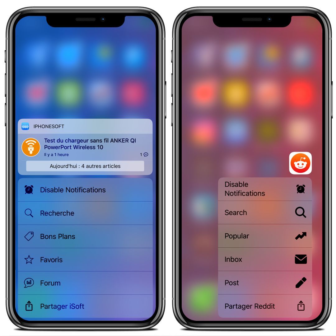 cuttlesfish cuttlesfish