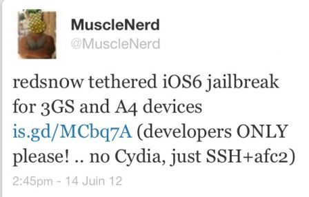 Tweet Musclenerd iOS 6 tethered