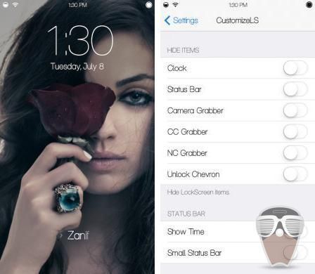 customizels1 customizels1