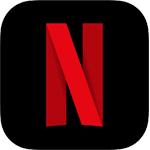 netflix icon