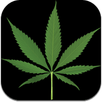 Le iPotin du jour : GeoHot arrêté avec $800 de Marijuana